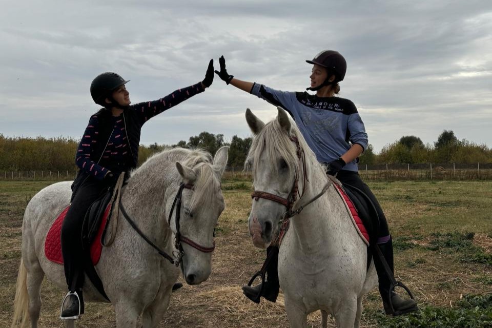Занятия по обучению взаимодействию с лошадью