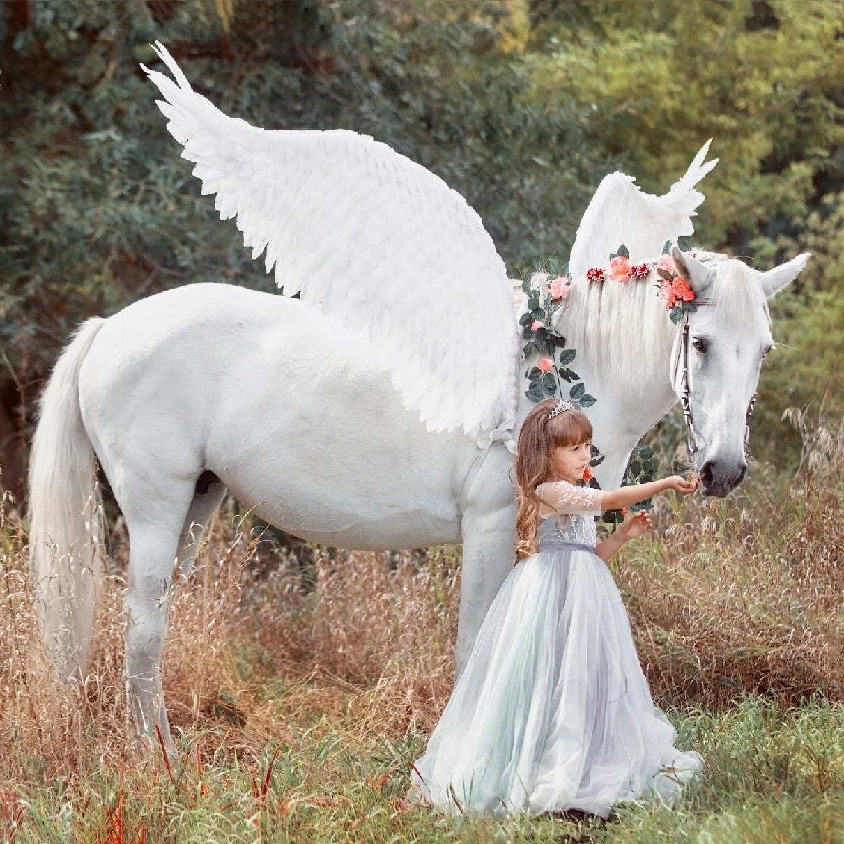 Прогулки верхом